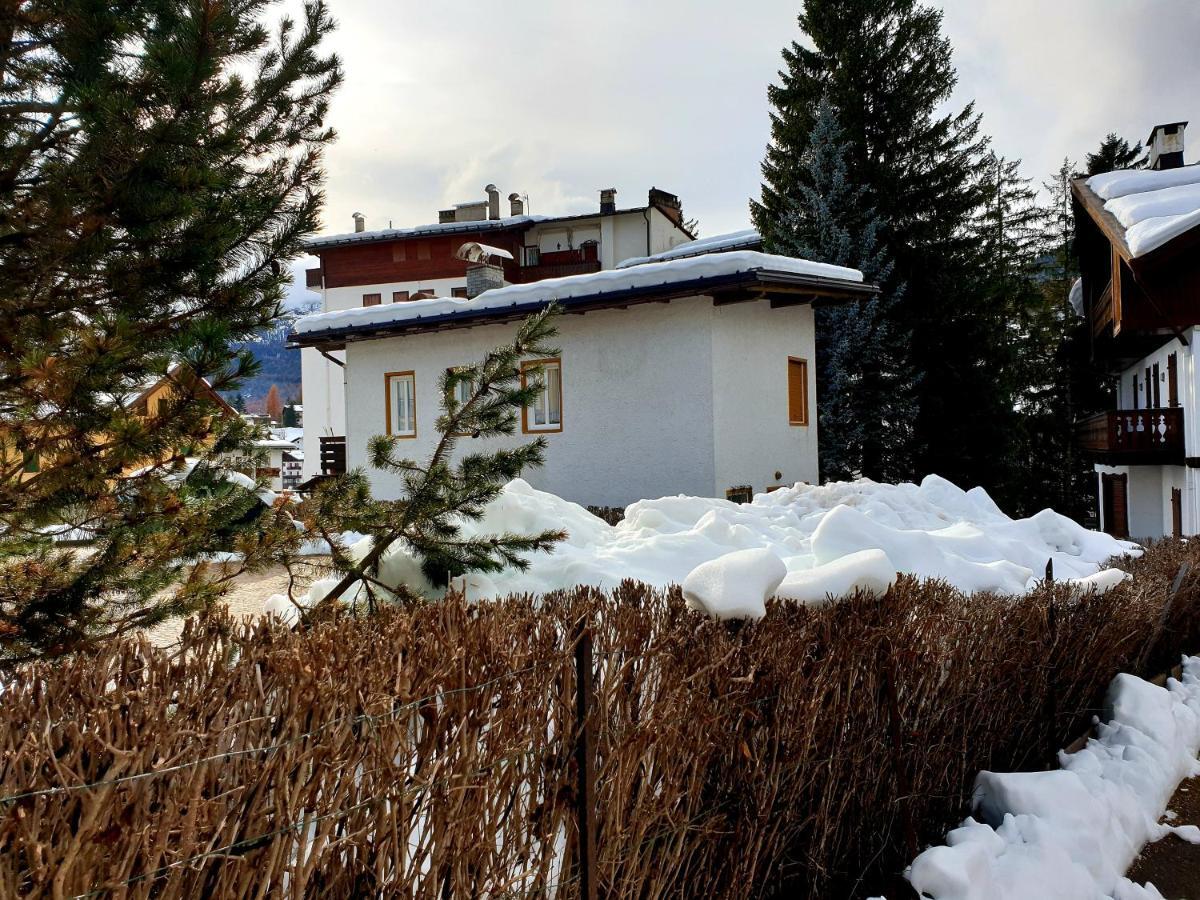 Luminoso Ed Accogliente, Centralissimo Appartamento Indipendente Cortina dʼAmpezzo Dış mekan fotoğraf